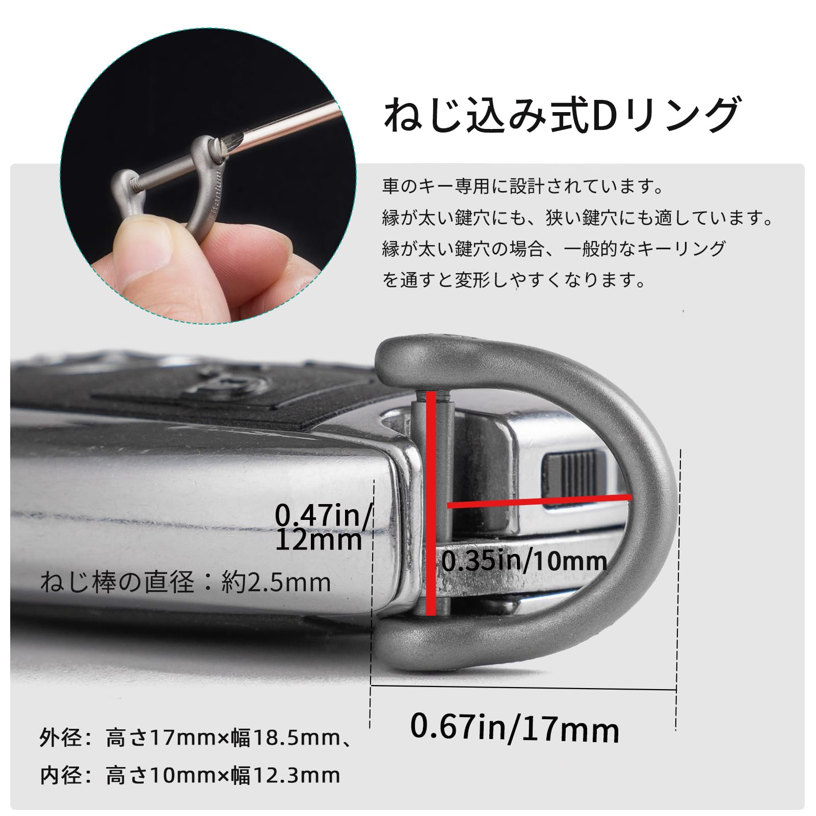 Amazon | [TISUR] チタン Dリング キーホルダー dかん金具 ネジ式 小型